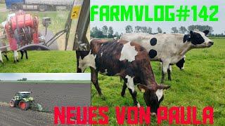 Farmvlog#142 Lieferung für ein neues Projekt der letzte Mais kommt in den BodenNeues von Paula