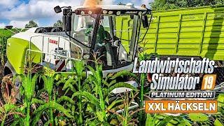 LS19 Platinum Das große MAISHÄCKSELN mit dem CLAAS DLC I Farming Simulator 19 Platinum Edition