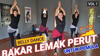 SENAM PERUT  BELLY DANCE PEMULA  BANTAI LEMAK PERUT  PART 1