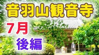 やまと尼寺精進日記のお寺 令和6年7月 後編の音羽山観音寺