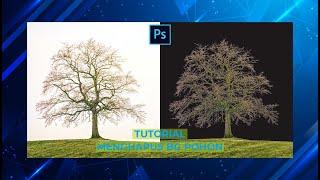 Tutorial Adobe Photoshop - Cara Menghapus Background Pohon