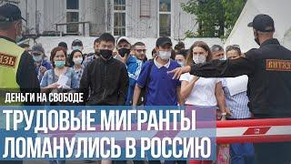 Почему в Россию ломанулись трудовые мигранты?