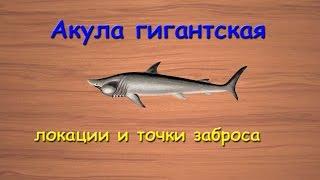 Русская Рыбалка 3.99 Акула гигантская - локации и точки заброса