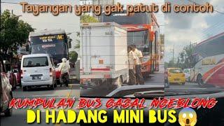 Beginilah bus kalo gagal ngeblong‼️di hadang mobil