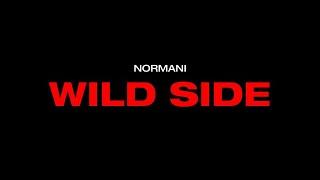 Normani - Wild Side - Instrumental with Background Vocals