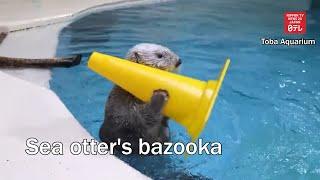 Sea otters bazooka