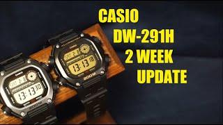 Casio DW 291H 2-week update