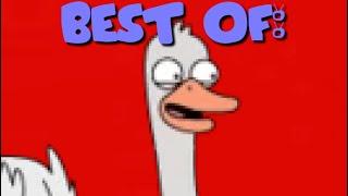 best of Eddie the Ostrich