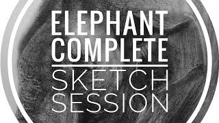 Elephant Full Drawing Real-Time 55-Minute Carbon Pencil Sketch