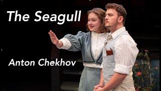 The Seagull