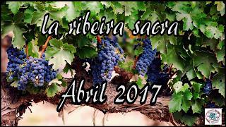 RIBEIRA SACRA - Primavera - Viñas a vista de dron - Chantada - Lugo RGSDron