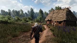 8K Witcher3 RTX 3090 - Vanilla lighting 2.0 Beyond all Limits Raytracing reshade  50+Mods