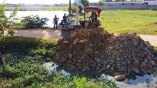 Starting New Project Filling In A Flooded Area Strong Dozer Pushing Soil  into Water & 5ton truck.