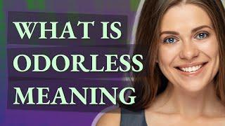 Odorless  meaning of Odorless