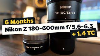 6 Months with the Nikon Z 180-600mm f5.6-6.3 and with the 1.4x Teleconverter