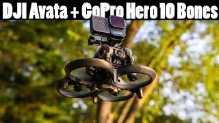 Combining DJI Avata with a GoPro Bones