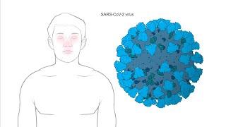 How does Modernas Coronavirus vaccine work?