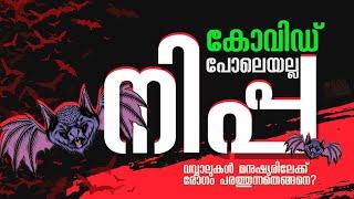 What is Nipah virus  Nipah virus History Malayalam  Lal Talks