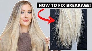 How to Fix Hair Breakage- Damaged Hair to Healthy Hair Care Tips