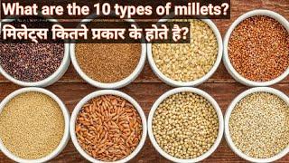 मिलेट्स कितने प्रकार के होते है?What are the types of milletstypes of milletsmillets