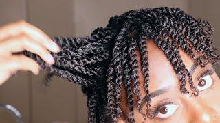 Mini Twist on Short Natural 4b4c Hair  GLORIA ANN