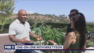 Mike Tyson speaks on launching cannabis company Tyson Ranch