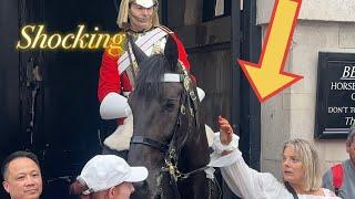 Shocking What did disrespectful tourists do to king’s guard horse it’s disgusting