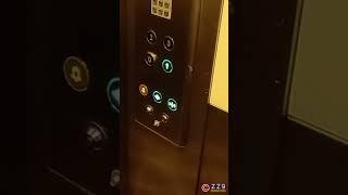 Found a clip before the mod #lift #elevator #schindler #modernisation #shorts