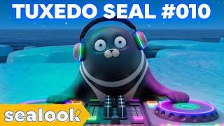 DJ Tuxedo Seal Special #010ㅣSEALOOKㅣEpisodes Compilation