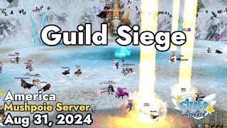 Guild Siege Mushpoie Server August 31 2024  Flyff Universe