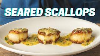 SEARED SCALLOPS WITH SCAMPI RECIPE Best Way to Cook Scallops