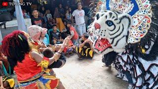 Barongan Bibisawijoyo Ngamuk Live Mojodemak