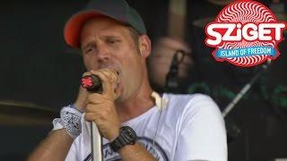 Ocho Macho Live @ Sziget 2015