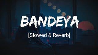 Bandeya - Arijit Singh Slowed+Reverb  Dil Juungle song  Tunemusic