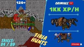 EK SOLO LVL 120+ 1KK XPH - SKILLS 8480 - Grimvale - TIBIA HUNT - EK SOLITÁRIO DO ZERO