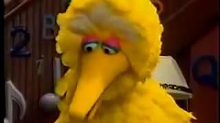 Sesame Street   Wolfgang Wants Ruthie s Goldfish New HD