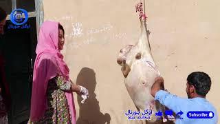گوسفند خریدیم و قدید کردیم گوشت لاندی  Jaghori Afghanistan