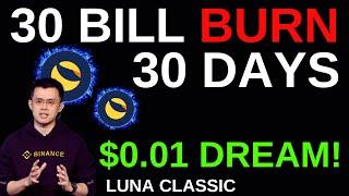 TERRA LUNA CLASSIC  30 BILLION BURNS 30 DAYS  1 BILLION BURNS DAILY