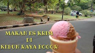 Jalan-Jalan dan Makan Es krim di Kebun Raya Bogor  bayi takut rumput