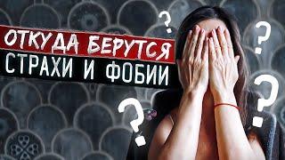 Страх и фобия. Откуда берутся страхи и фобии?  Анна Комлова