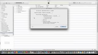 iTunes Tutorial - How to Burn A CD Using iTunes