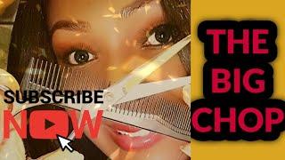 ASMR Tingles My clients big chop with scissors & gum chewing Must Watch