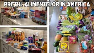 Pretul alimentelor in AMERICA  Cumparaturi alimentare COSTCO + ALDI