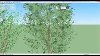 3D Tree Maker Plugin - SketchUp Plugin