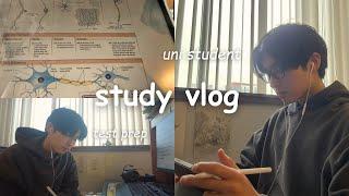 uni study vlog  productive days late nights student life