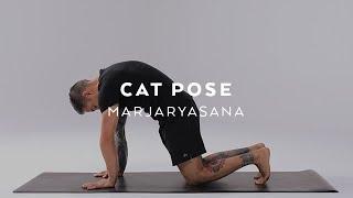 How to do Cat Pose  Marjaryasana Tutorial with Dylan Werner