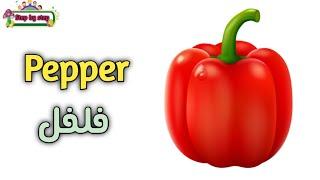 نطق كلمة Pepper فلفل ️ How to pronounce pepper ️