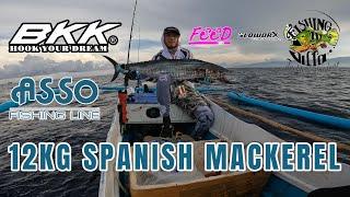 12KG SPANISH MACKERELAJ & GROUPERS  September 21 2022