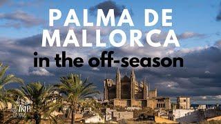 Palma de Mallorca in The Off Season 13 Fantastic Things To Do