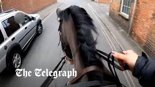 Moment police officer on horse chases down driver texting